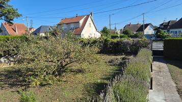 A residential area with houses, a pathway, and a hedge.