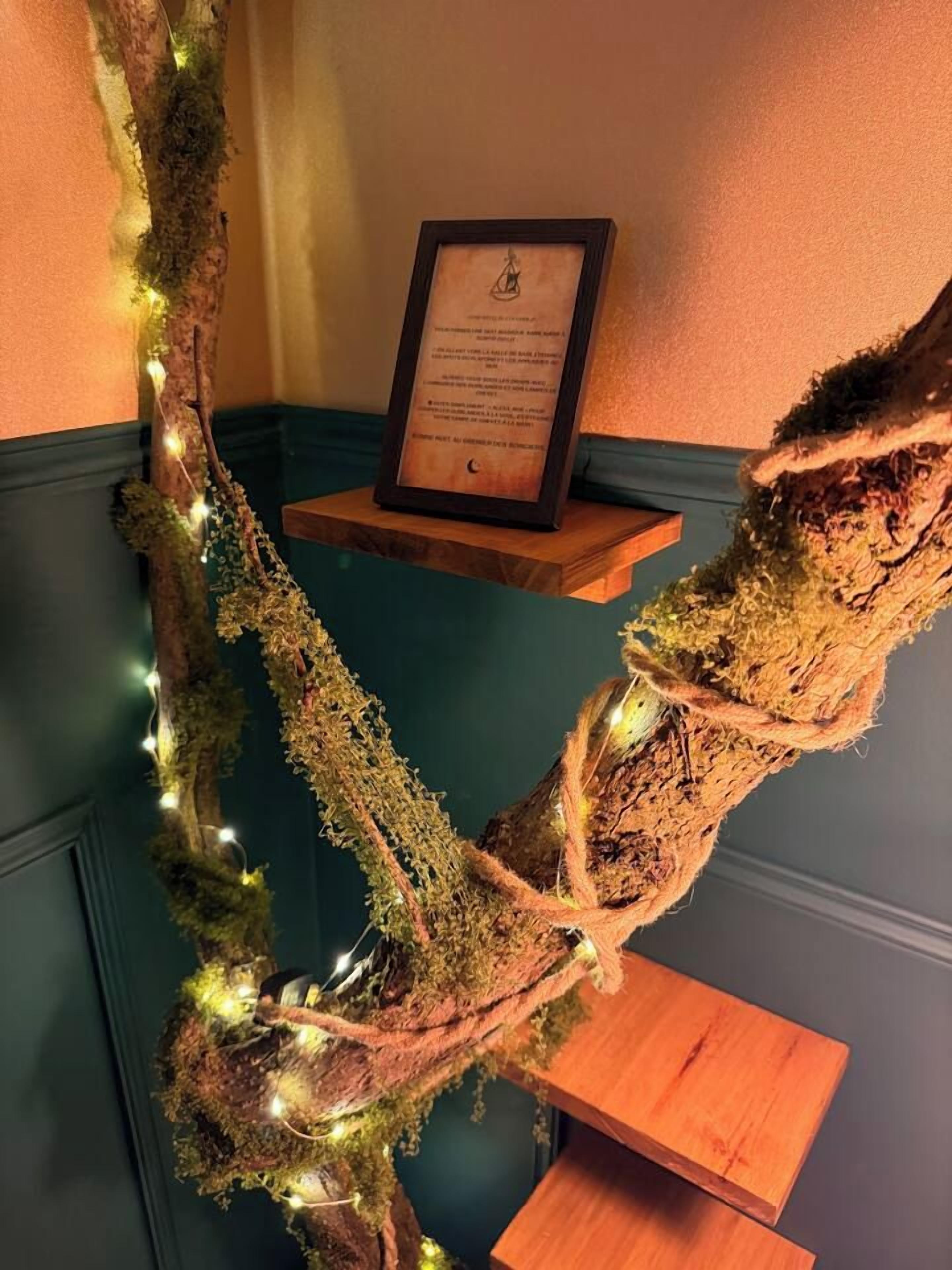Een tak met mos en lichtjes, een lijst met een certificaat op een plank, en een houten tafel.