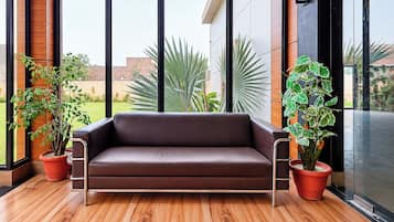 Un sofá de cuero marrón en una habitación moderna con ventanas amplias, suelo de madera y plantas en macetas.