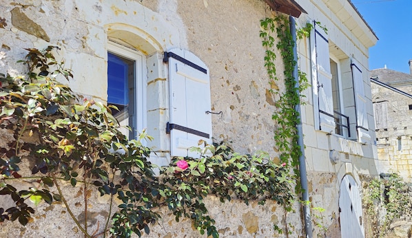 A weathered building with a window, a door, and a wall covered in climbing plants.