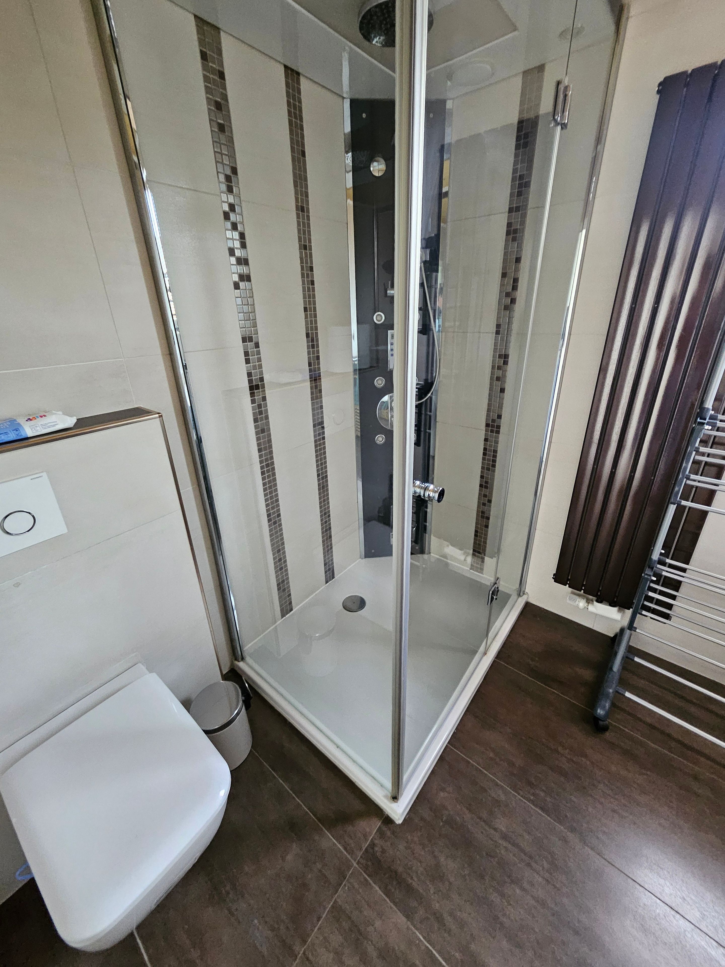 A shower with a glass door, a white toilet, and a metal rack.