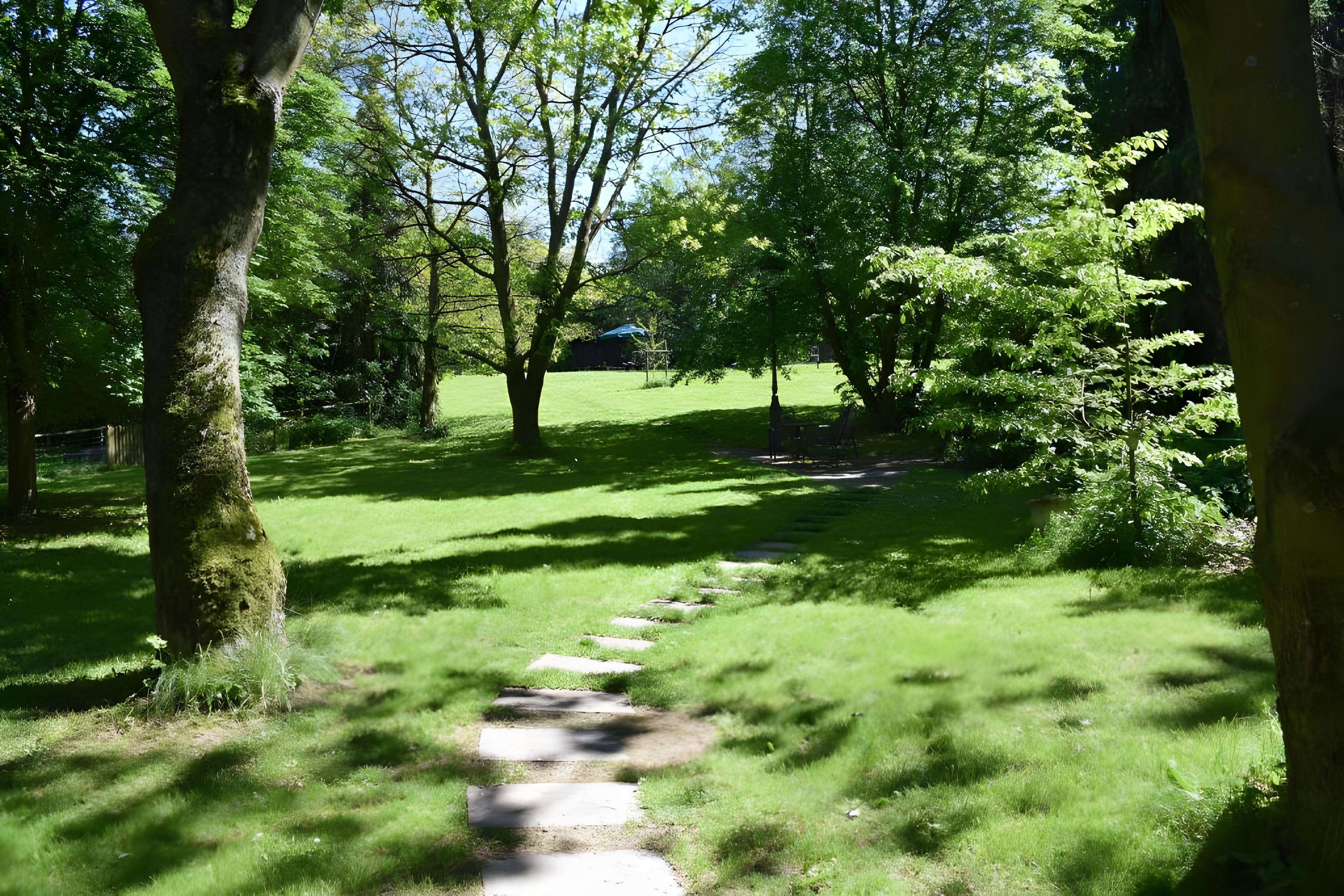 A pathway through a park with trees and a grassy area.