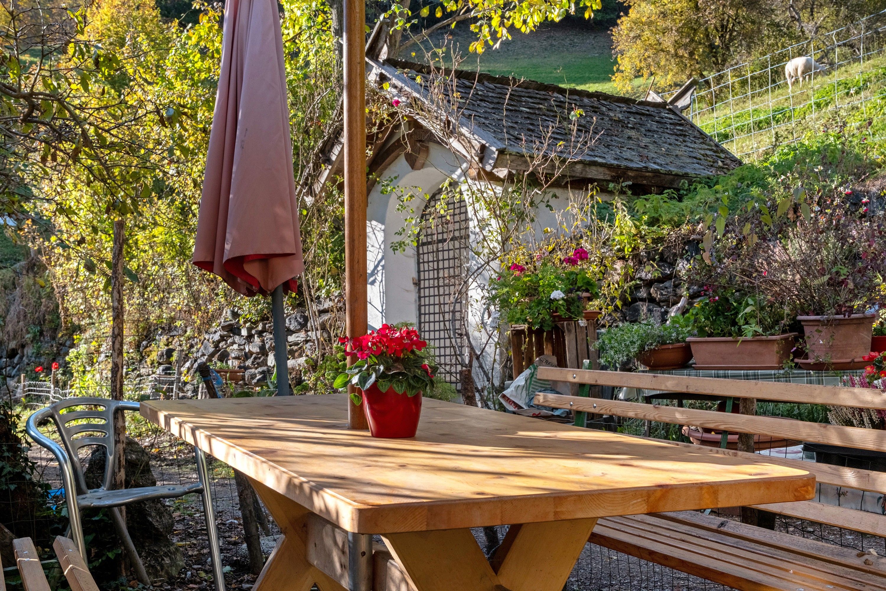Restaurante al aire libre