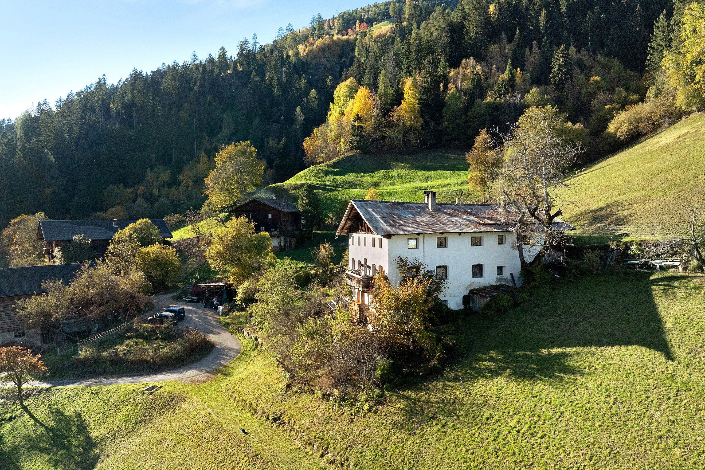 Ein ländliches Haus mit Satteldach, umgeben von üppiger grüner Landschaft und dichtem Wald.