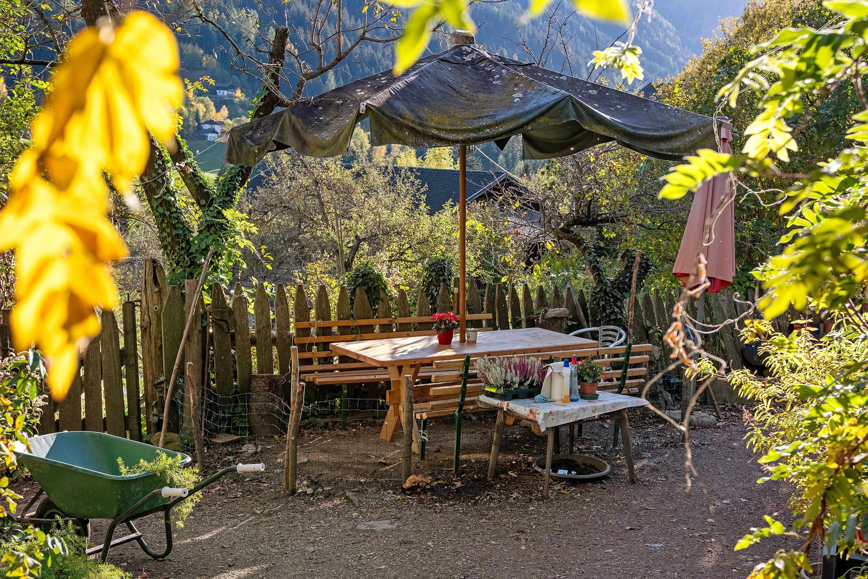 Ein Gartenbereich im Freien mit einem Holztisch und Bänken, umgeben von Bäumen und einem Blick auf die Berge.
