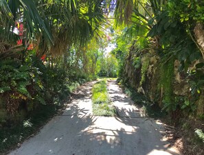 A narrow concrete path flanked by dense greenery and a red structure in the background. - Serene 3-bedroom house near Beaches in Warwick Parish (Warwick Parish)