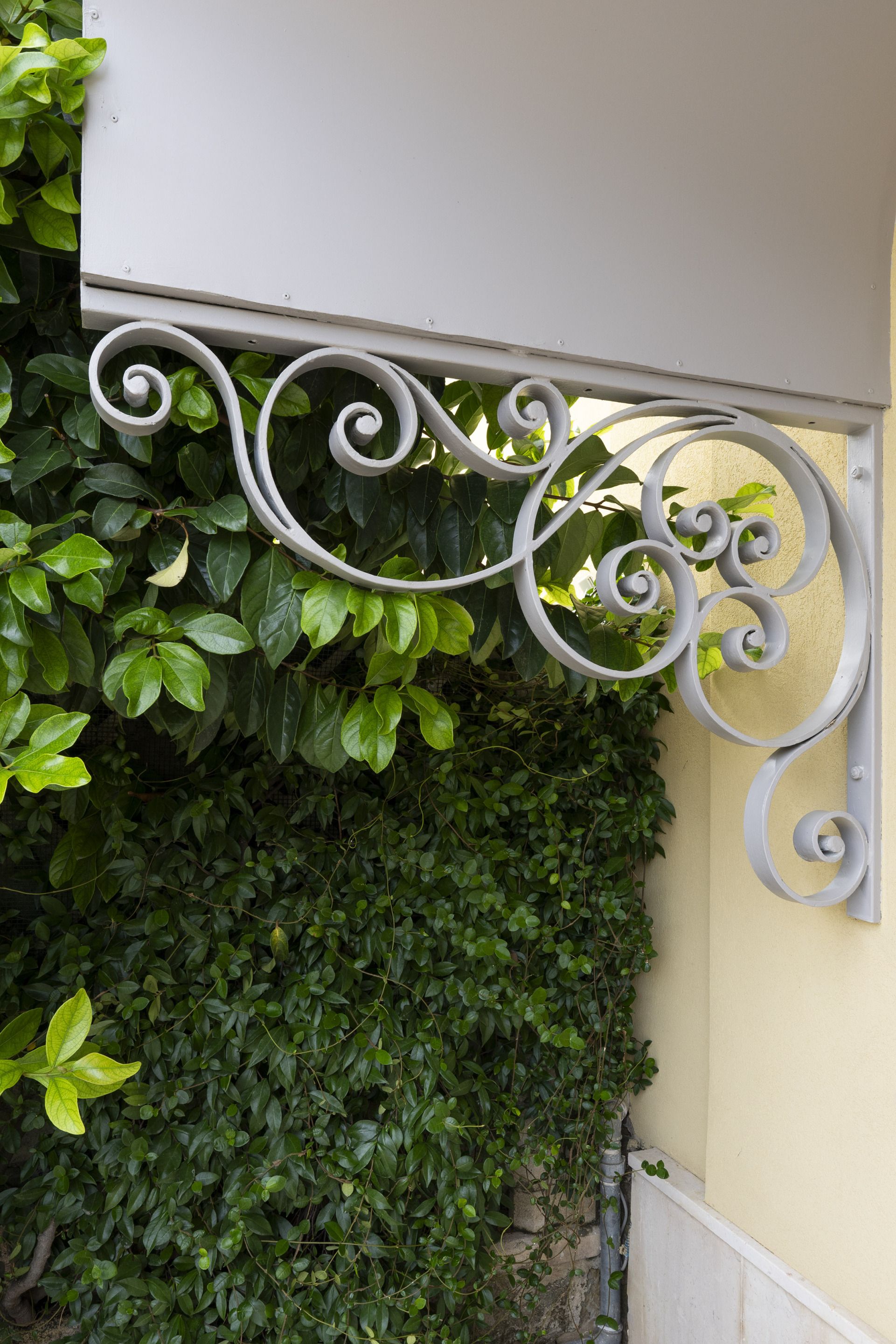 A white metal decorative element with a spiral design, attached to a wall with a green leafy plant growing over it.
