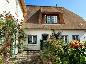 A traditional house with a thatched roof, white walls, and a small front porch. - Deichhof Apt. 22 (Dunsum)