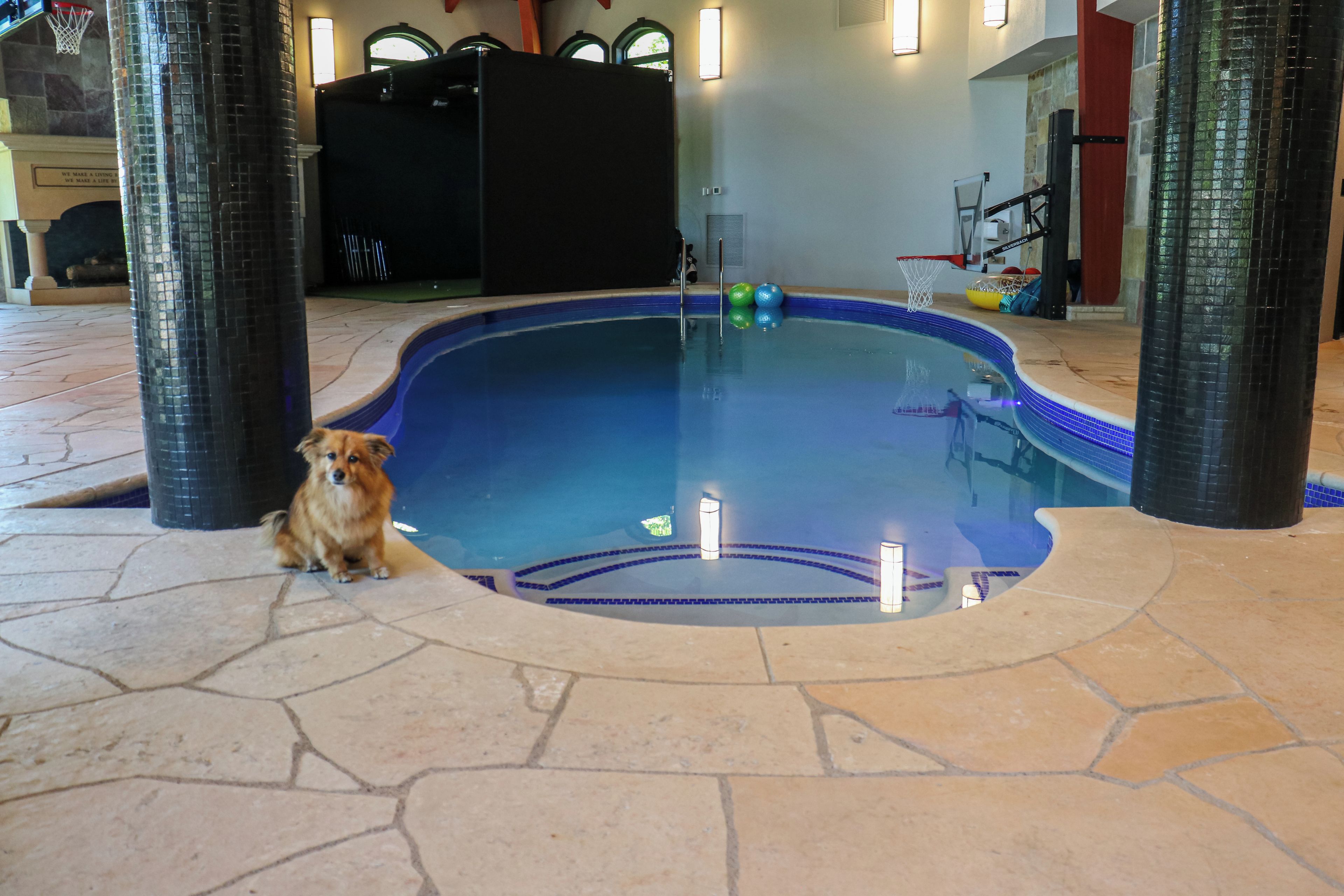 En liten inomhuspool med en hund som sitter vid kanten, omgiven av stenplattor och pelare.