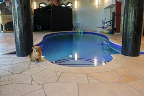 A small indoor pool with a dog sitting by the edge, surrounded by stone flooring and pillars.