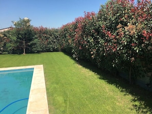 A swimming pool with a clear blue waterline, surrounded by a well-maintained lawn and dense shrubbery with red leaves.