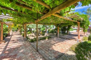 Una estructura de pérgola con plantas trepadoras, un camino pavimentado y una zona de jardín.