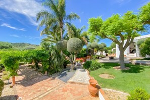 Un sendero en un jardín con diversas plantas y una maceta.