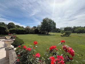 A well-maintained lawn with a large tree and a stone fountain.