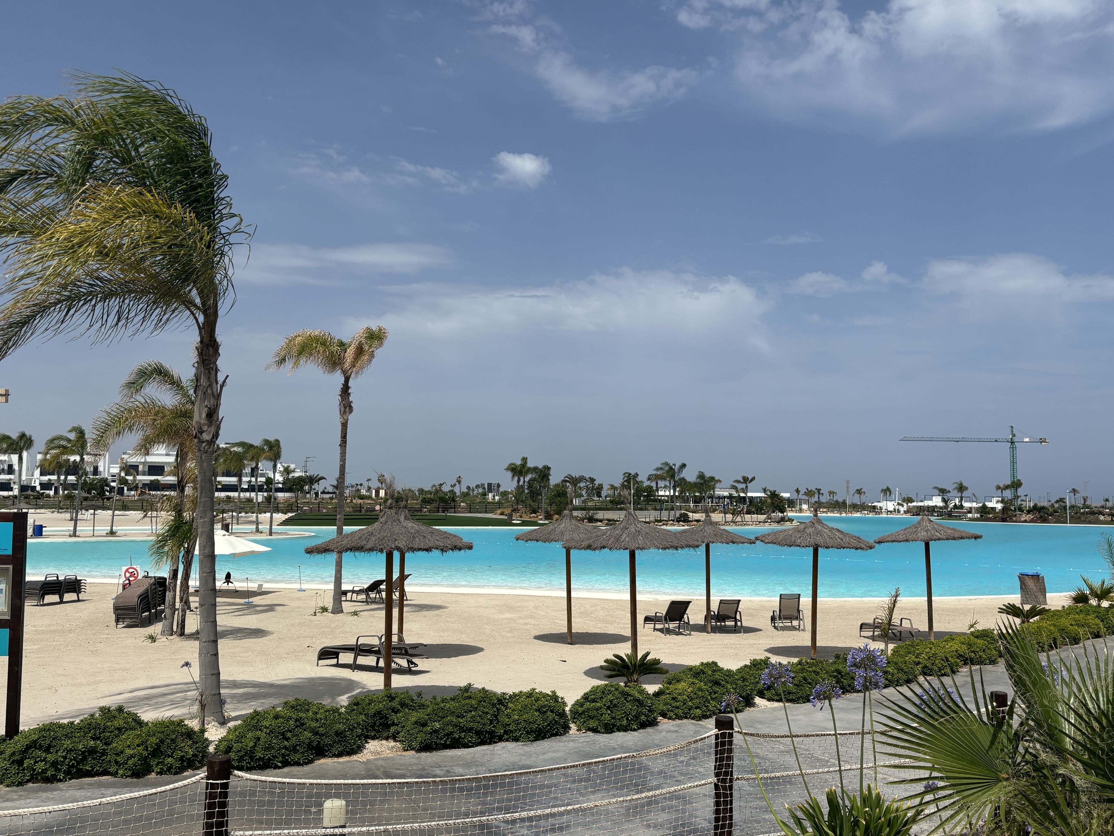 A beach resort with a swimming pool, lounge chairs, and palm trees.
