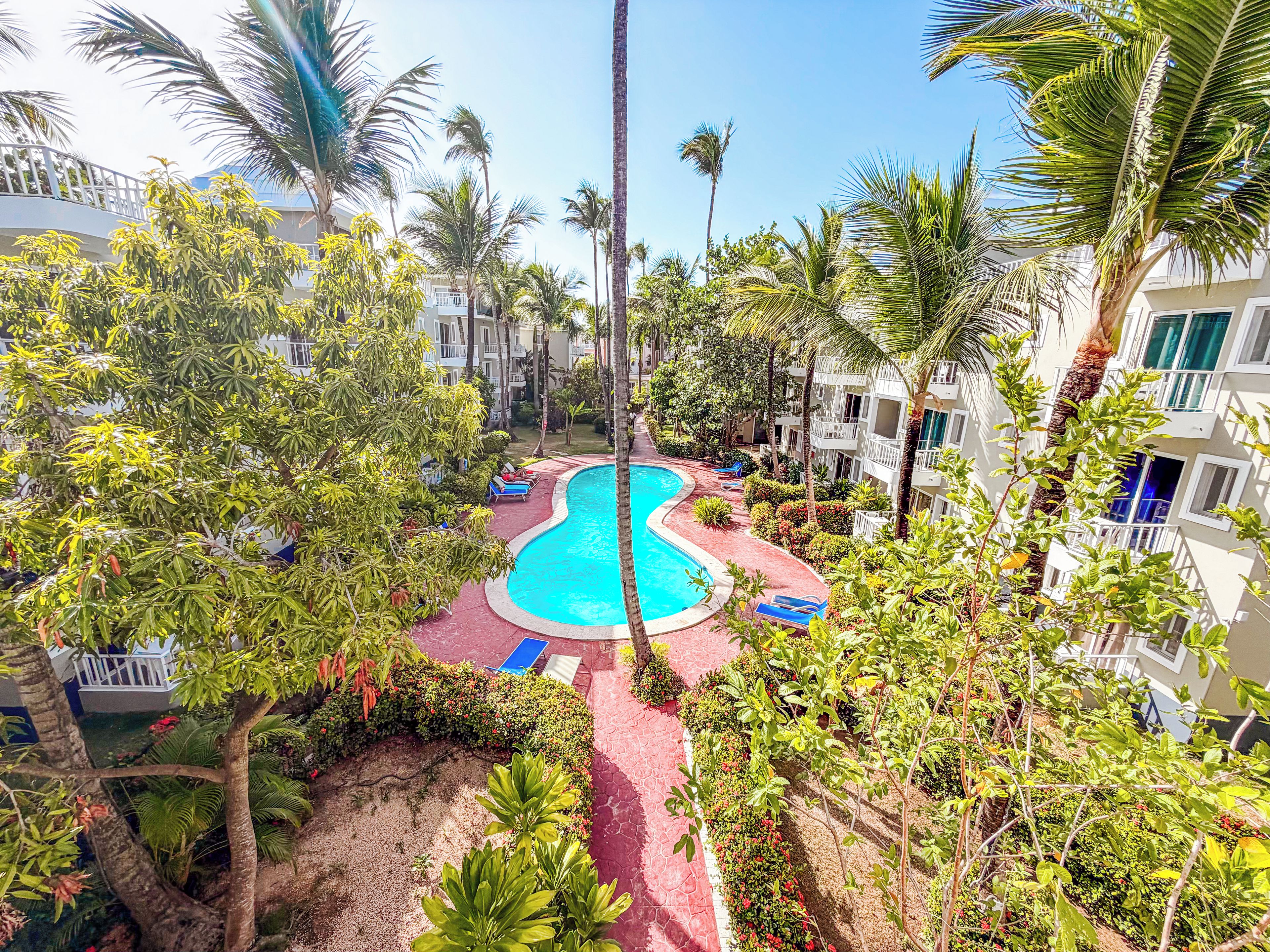 A pool area surrounded by lush greenery and palm trees, with a clear blue sky above.