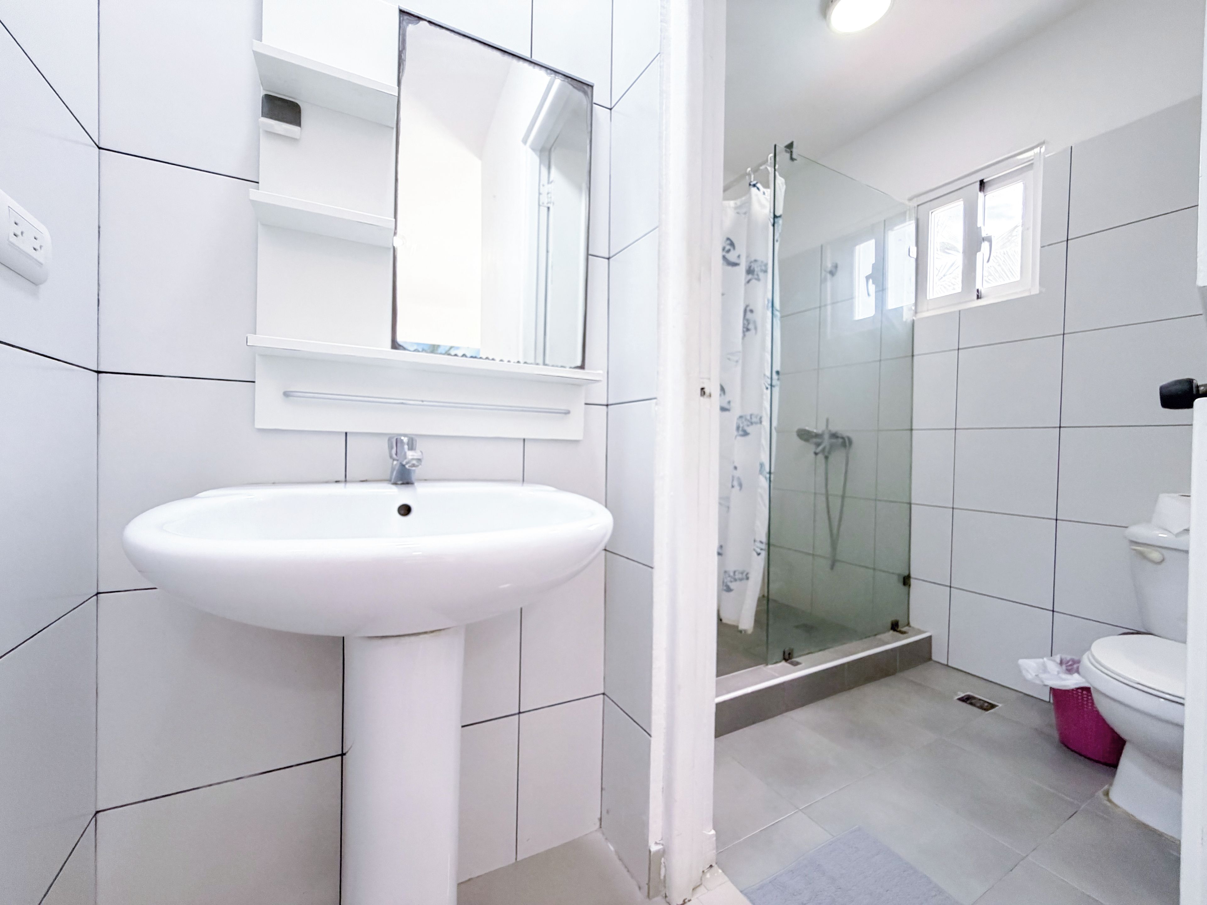 Un bagno con lavandino bianco, uno specchio, una doccia con porta in vetro e un water.