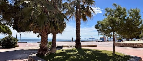 A paved area with palm trees, a stone border, and a view of the sea.