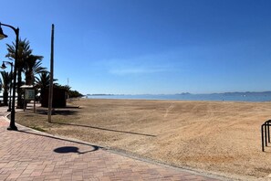 Une plage avec une promenade dallée, des palmiers et un ciel dégagé.