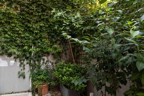 A garden with various plants, a wooden fence, and a concrete wall. - Private Room in Apartment, Madrid (Madrid)