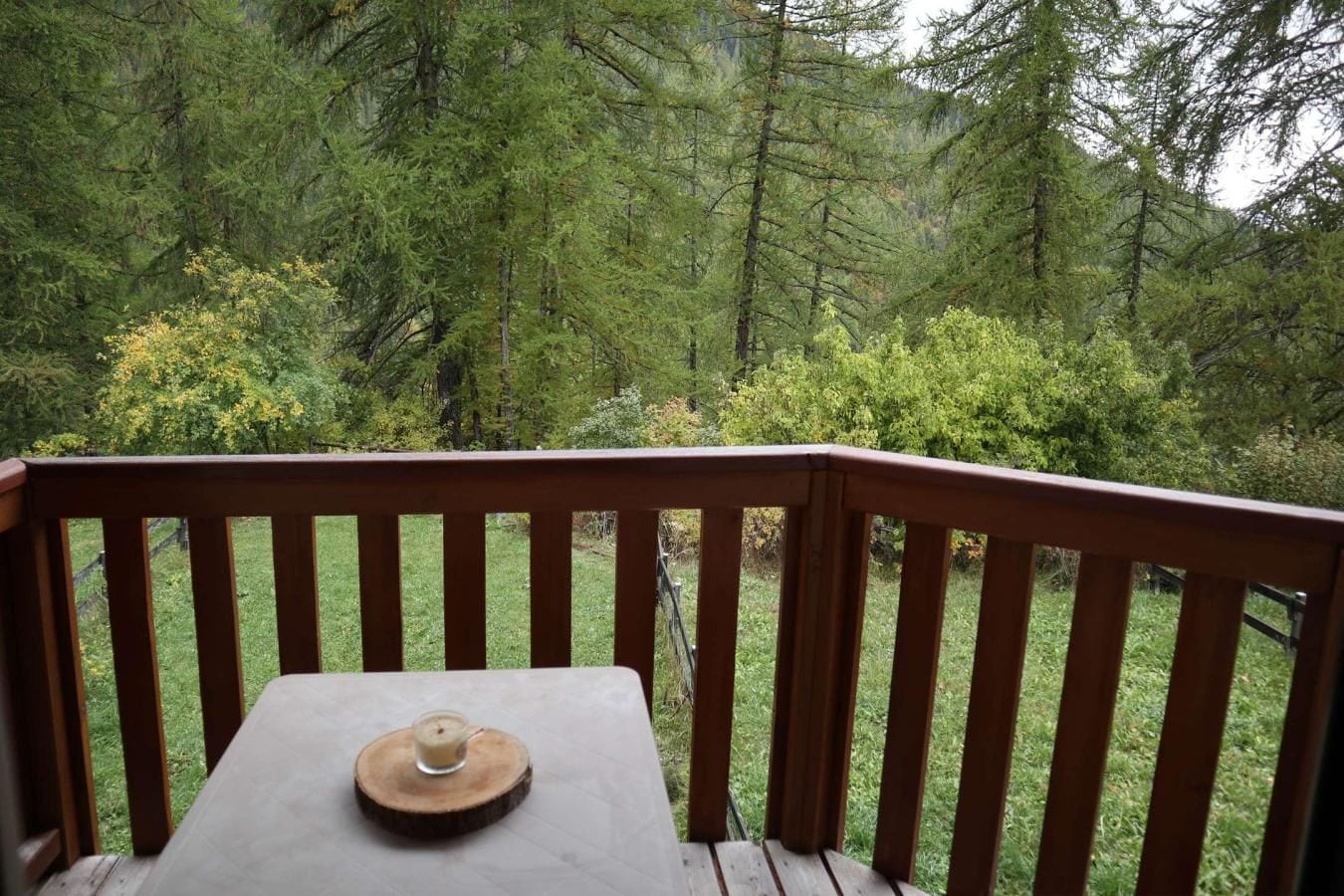 A wooden deck with a table and a glass of drink, surrounded by dense forest.