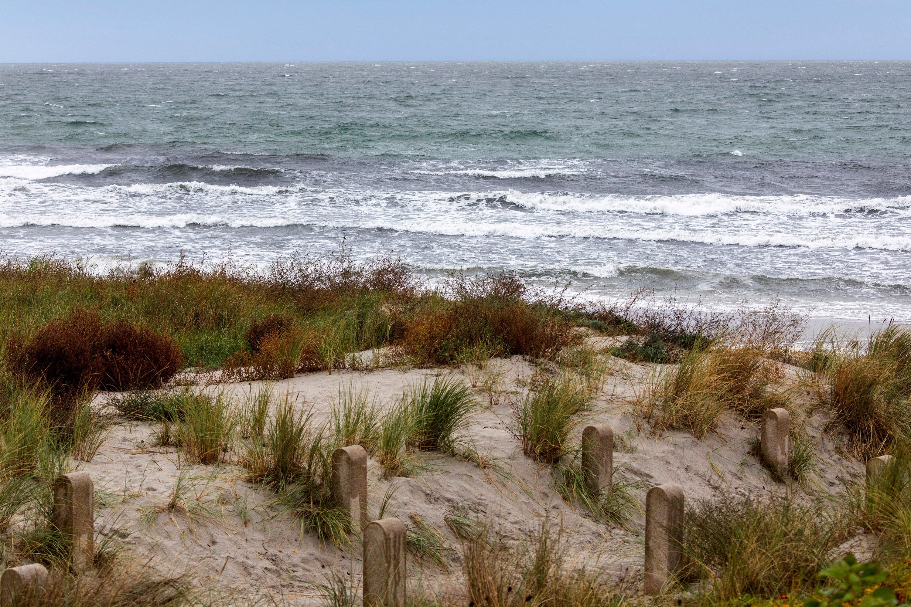 A beach with sand dunes and wooden posts, leading to the ocean.