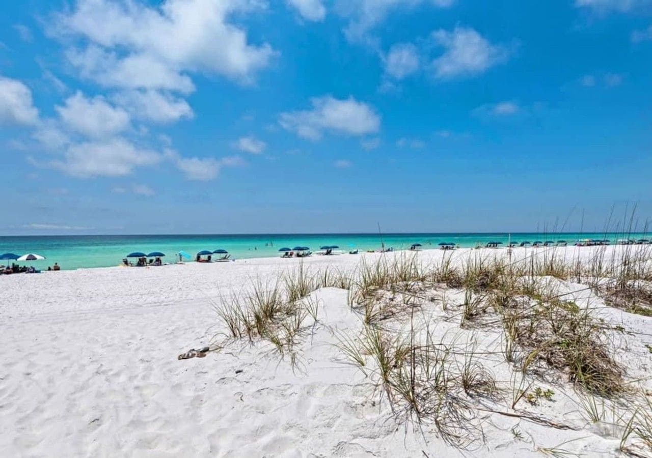 Une plage de sable blanc avec une végétation clairsemée, un ciel bleu dégagé et une mer calme.