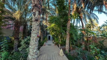 Un chemin bordé de palmiers menant à l’entrée d’un bâtiment.