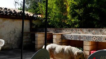 Un espace patio agrémenté d’un mur en pierre, d’un banc carrelé et d’un chien.