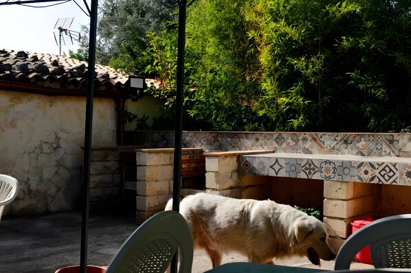 Eine Terrasse mit Steinmauer, gefliestem Sitzplatz und einem Hund.