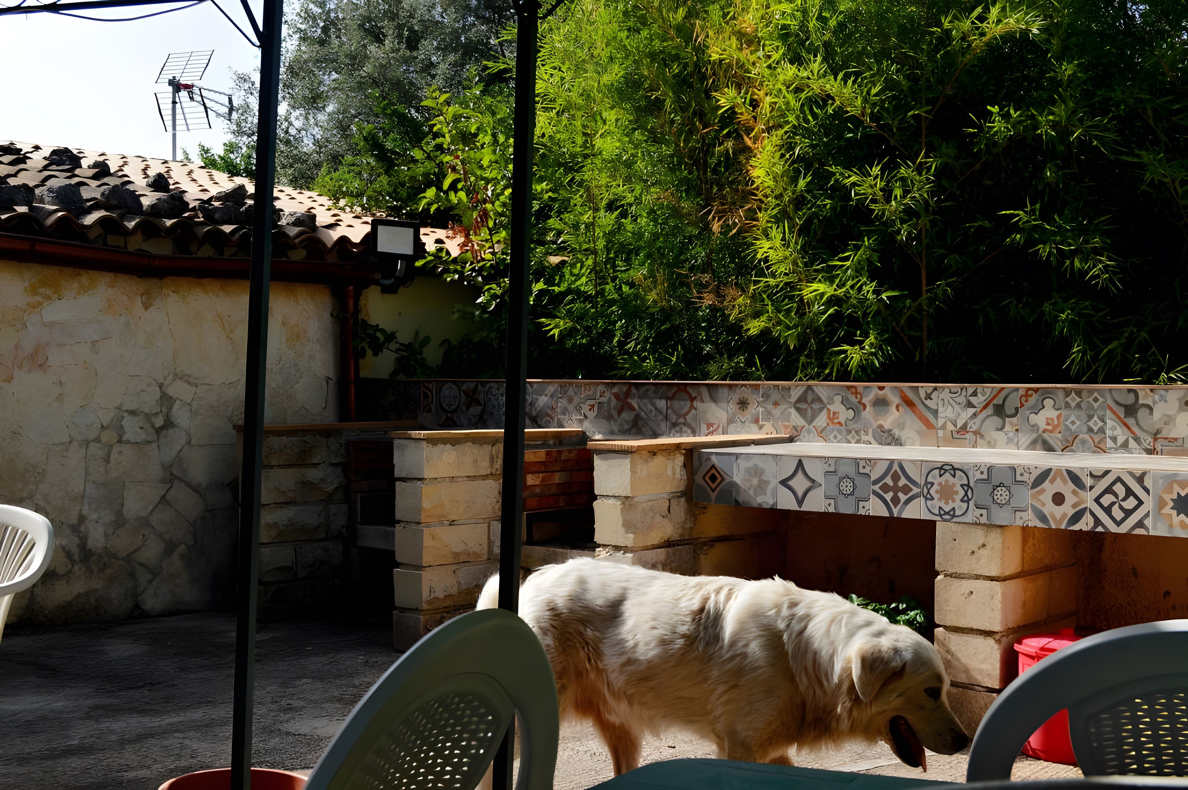 Eine Terrasse mit Steinmauer, gefliestem Sitzplatz und einem Hund.