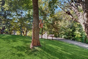 Un parc avec une pelouse bien entretenue, un grand arbre et un poteau en bois sur lequel est fixée une nichoir.