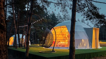 Een geodetische koepeltent met een transparante binnenkant, omringd door bomen en een gazon.
