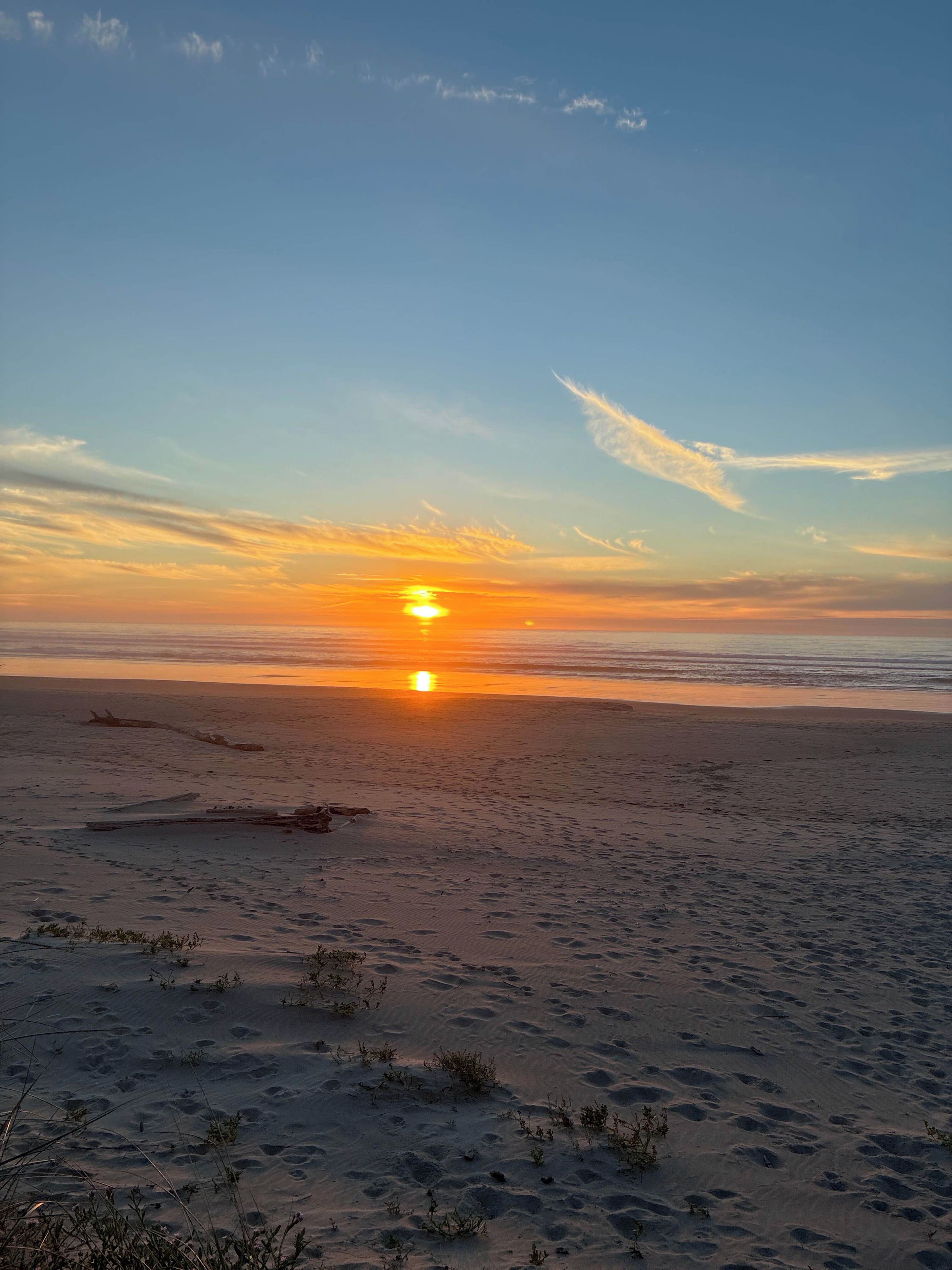 Ein Strand bei Sonnenuntergang am Horizont, sandiger Untergrund und spärliche Vegetation.