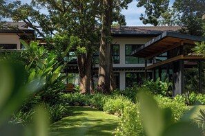 Une maison moderne dotée d’un grand jardin, de grandes fenêtres et d’un arbre remarquable.