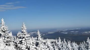 A snowy landscape with evergreen trees and a clear sky.