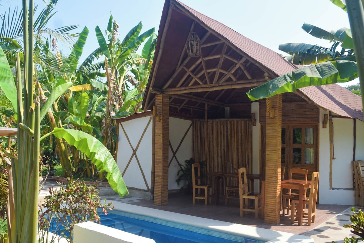 Uma cabana com piscina, rodeada por vegetação tropical.