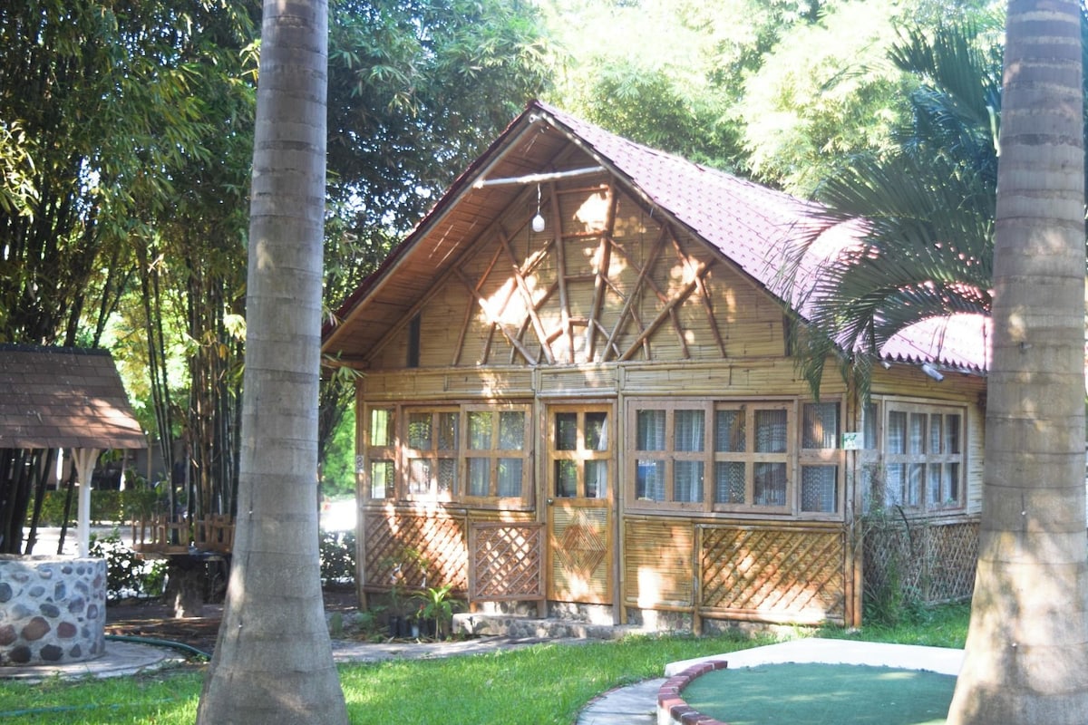 Uma casa de madeira com telhado inclinado, cercada por um gramado bem cuidado e árvores.