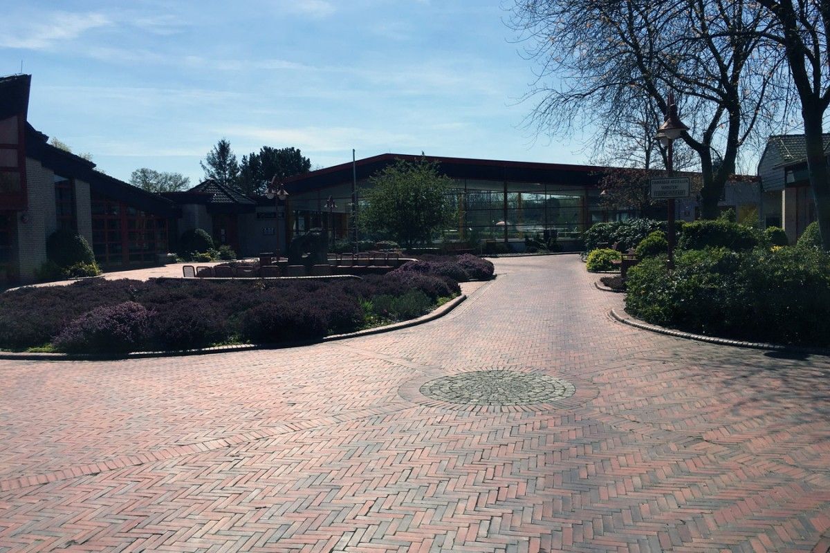 A paved pathway leading to a building with a glass facade, surrounded by landscaped gardens and mature trees.