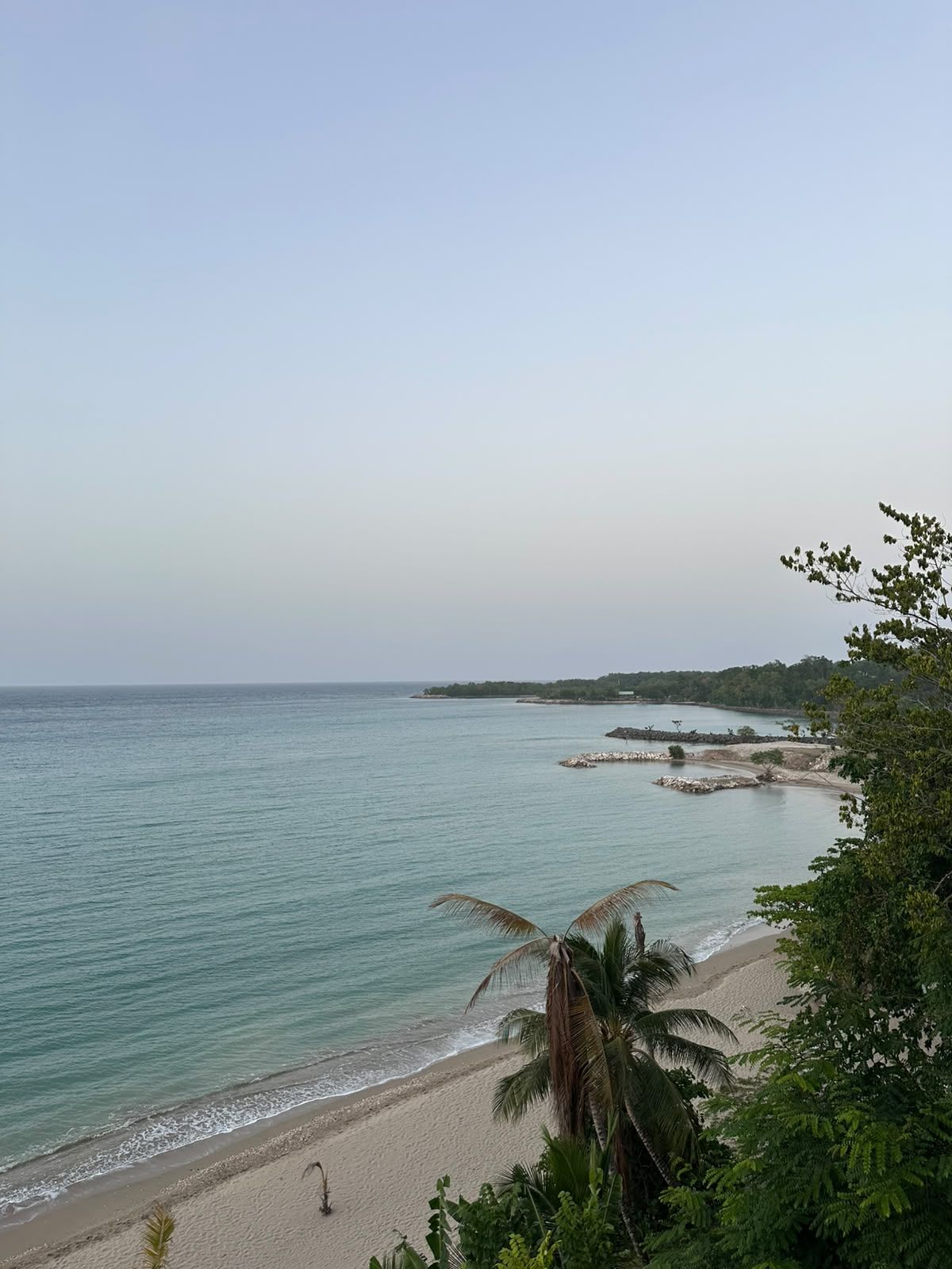 Ein Strand mit klarem Wasser, sandigem Ufer und etwas Vegetation.