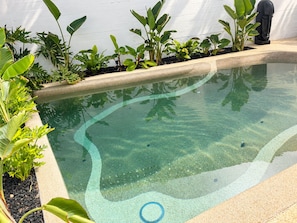 A clear swimming pool with a pebble bottom, surrounded by various green plants and a Buddha statue. - Spherae Magma (Corralejo)
