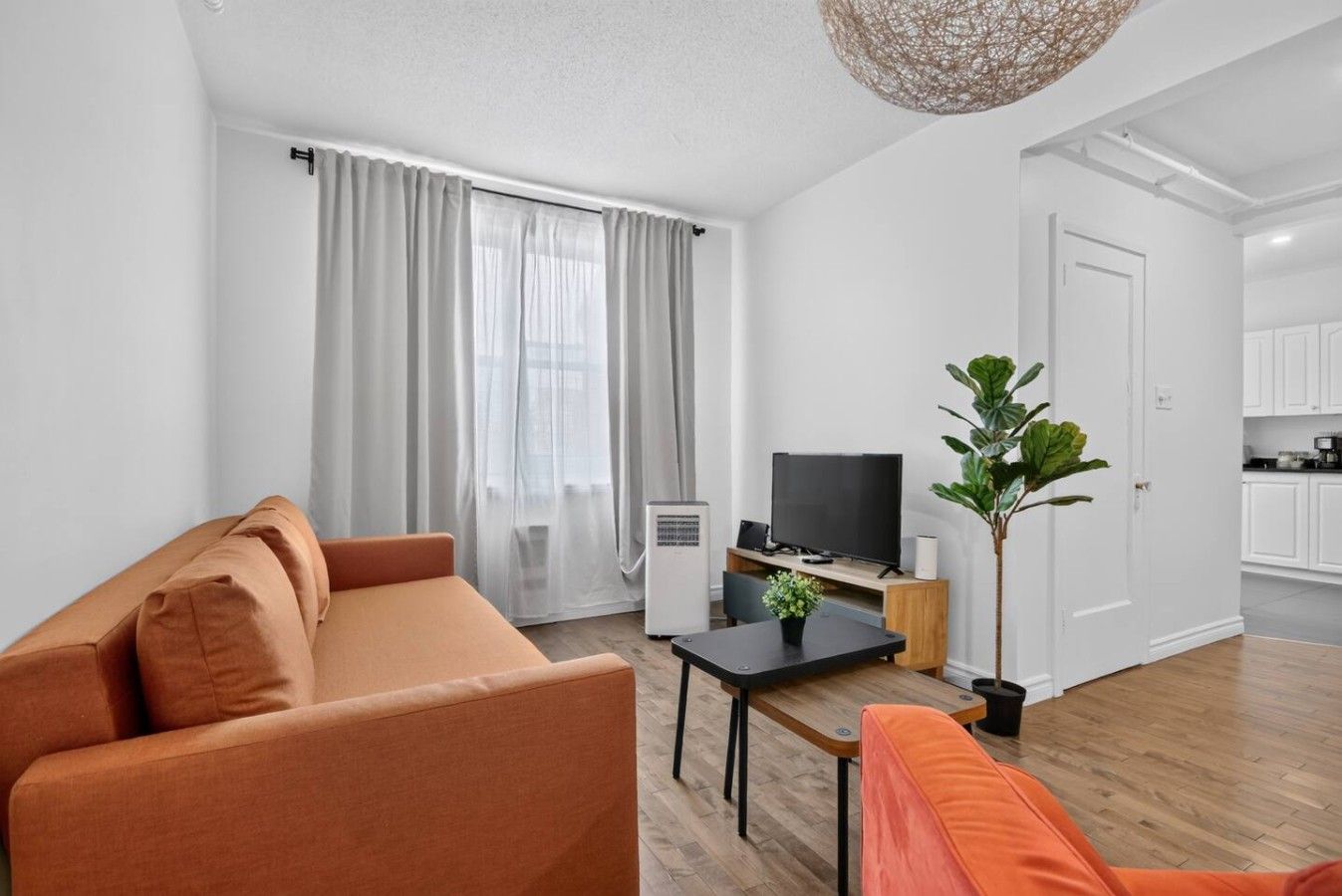 Un salon moderne avec un canapé, une table basse, un téléviseur et une plante.