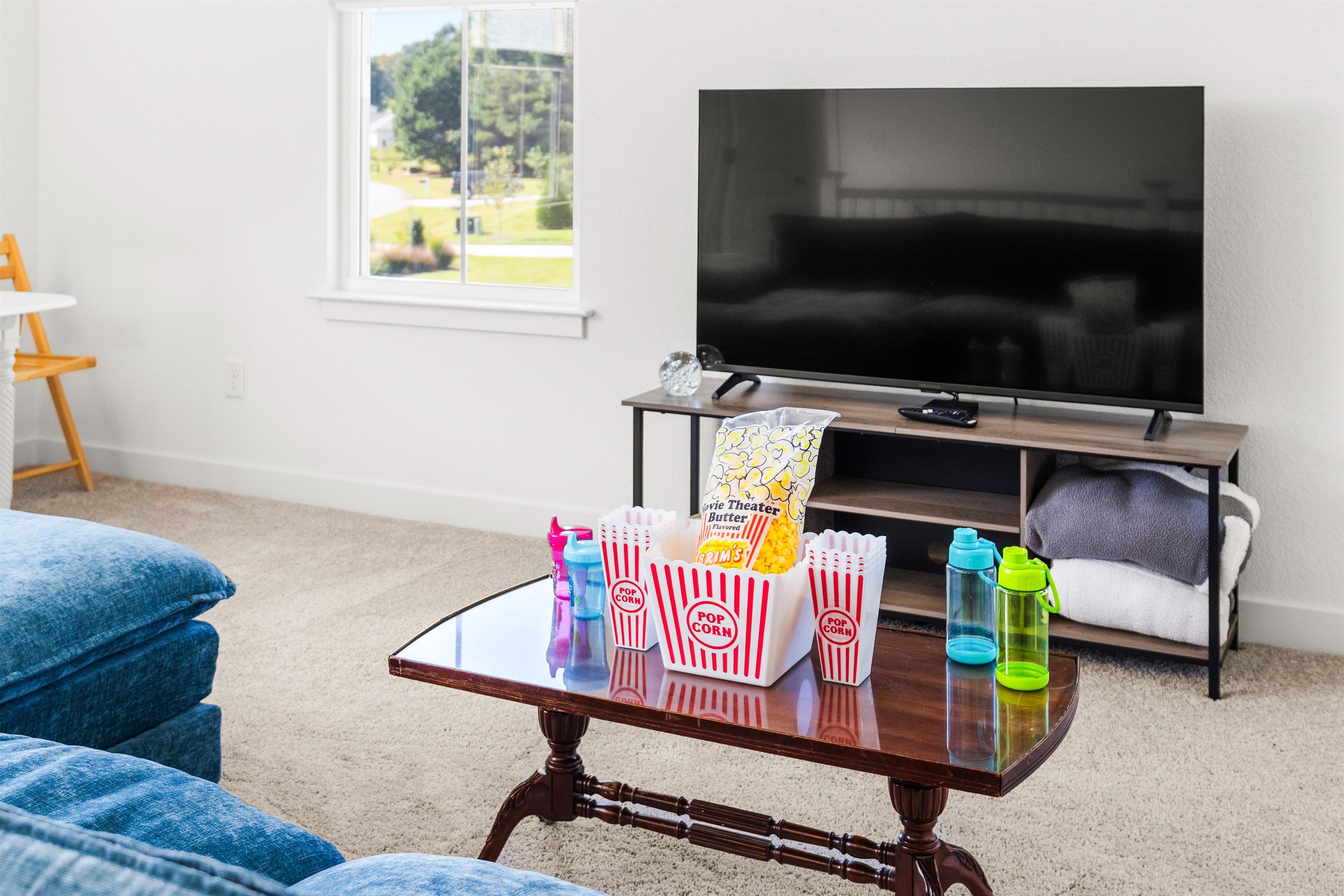 Bright living room with big-screen TV, natural light, and cozy movie-night setup