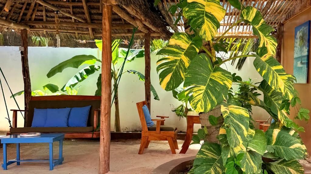 A tropical outdoor seating area with a wooden swing, a wooden chair, and a table.