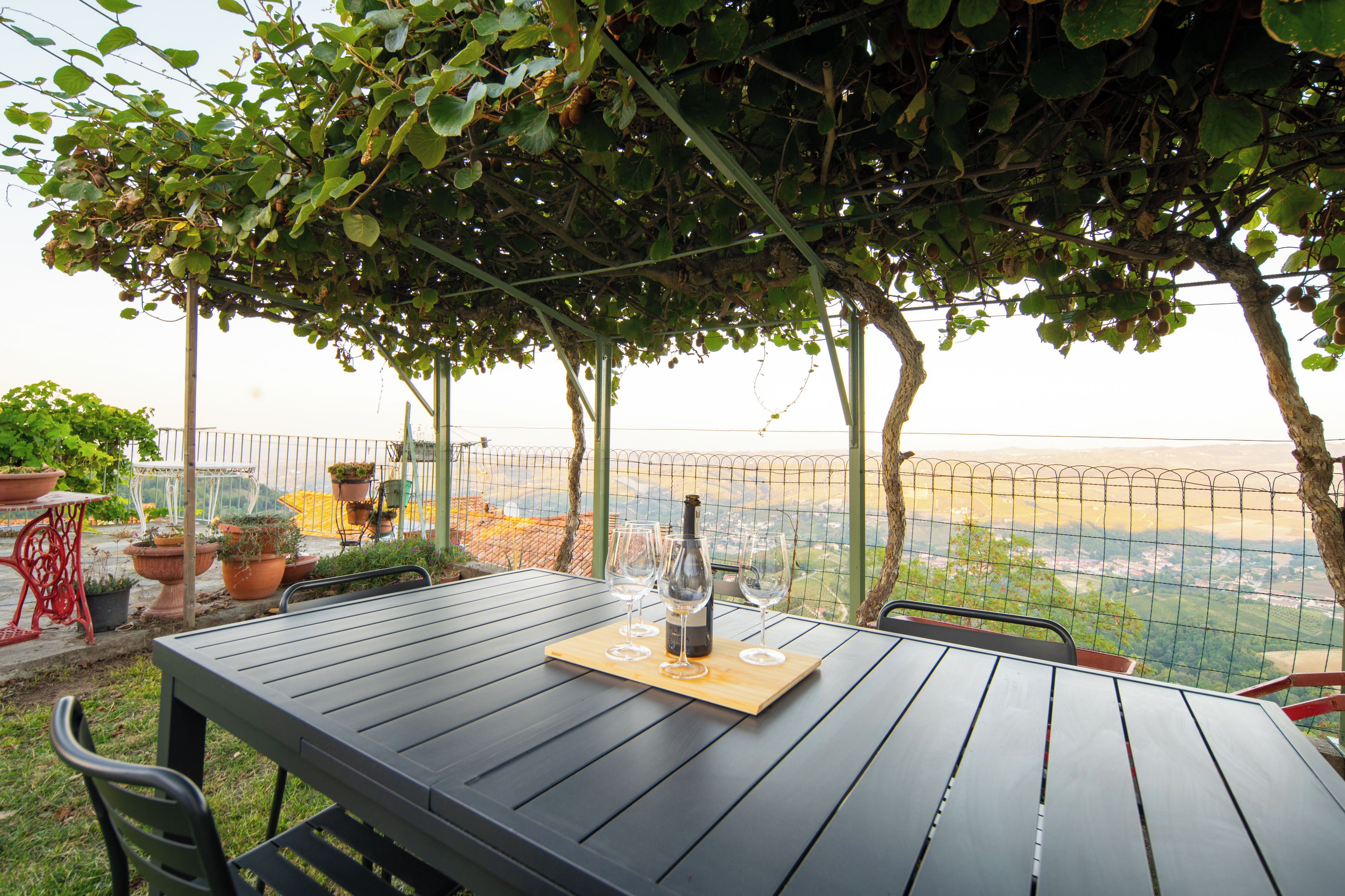 A table with a bottle and glasses, surrounded by potted plants, under a tree with a view through a wire fence.