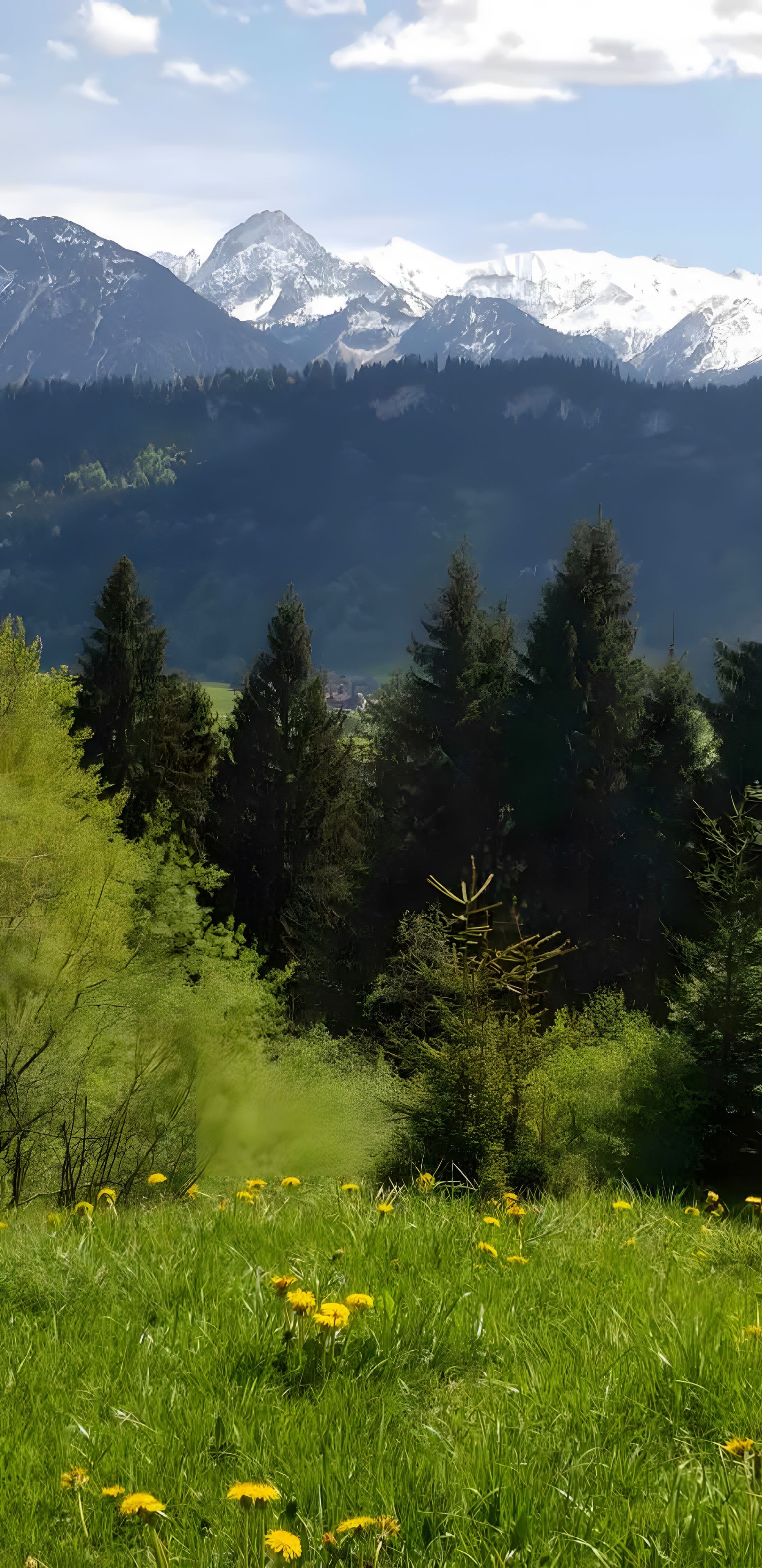 A mountainous landscape with snow-capped peaks, dense forest, and a grassy foreground with yellow flowers.