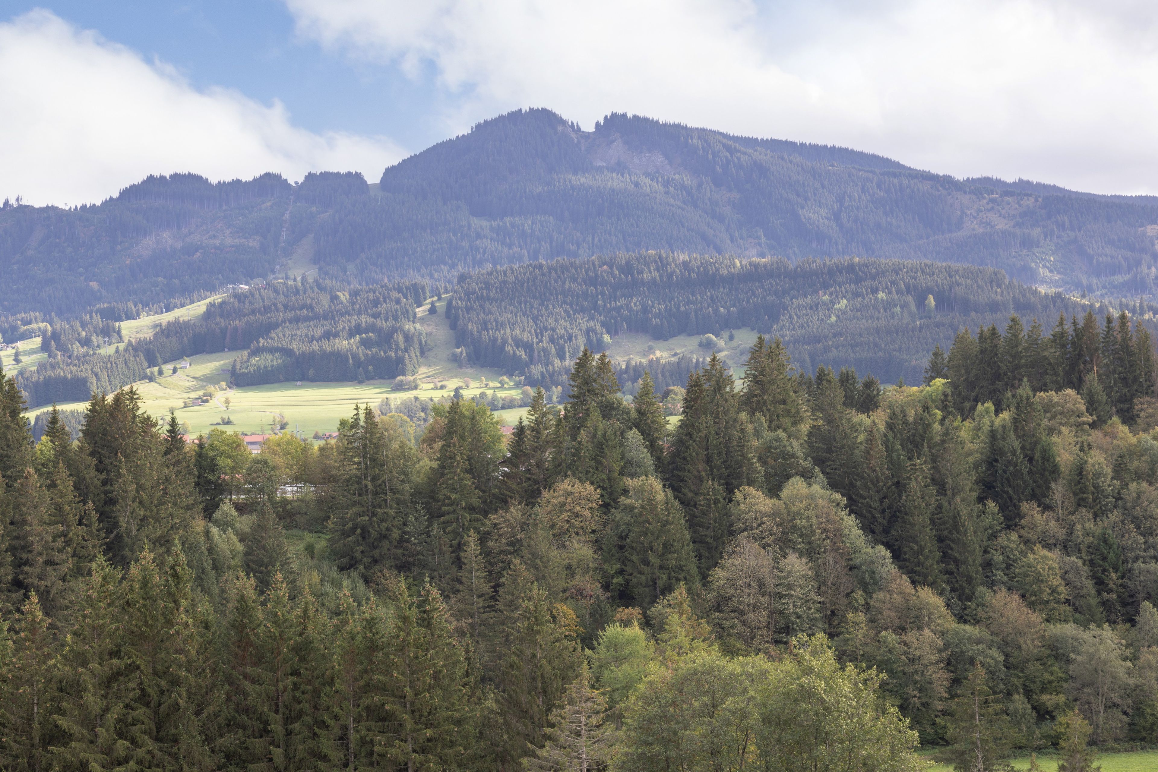 Eine gebirgige Landschaft mit dichten Wäldern und einem Tal.