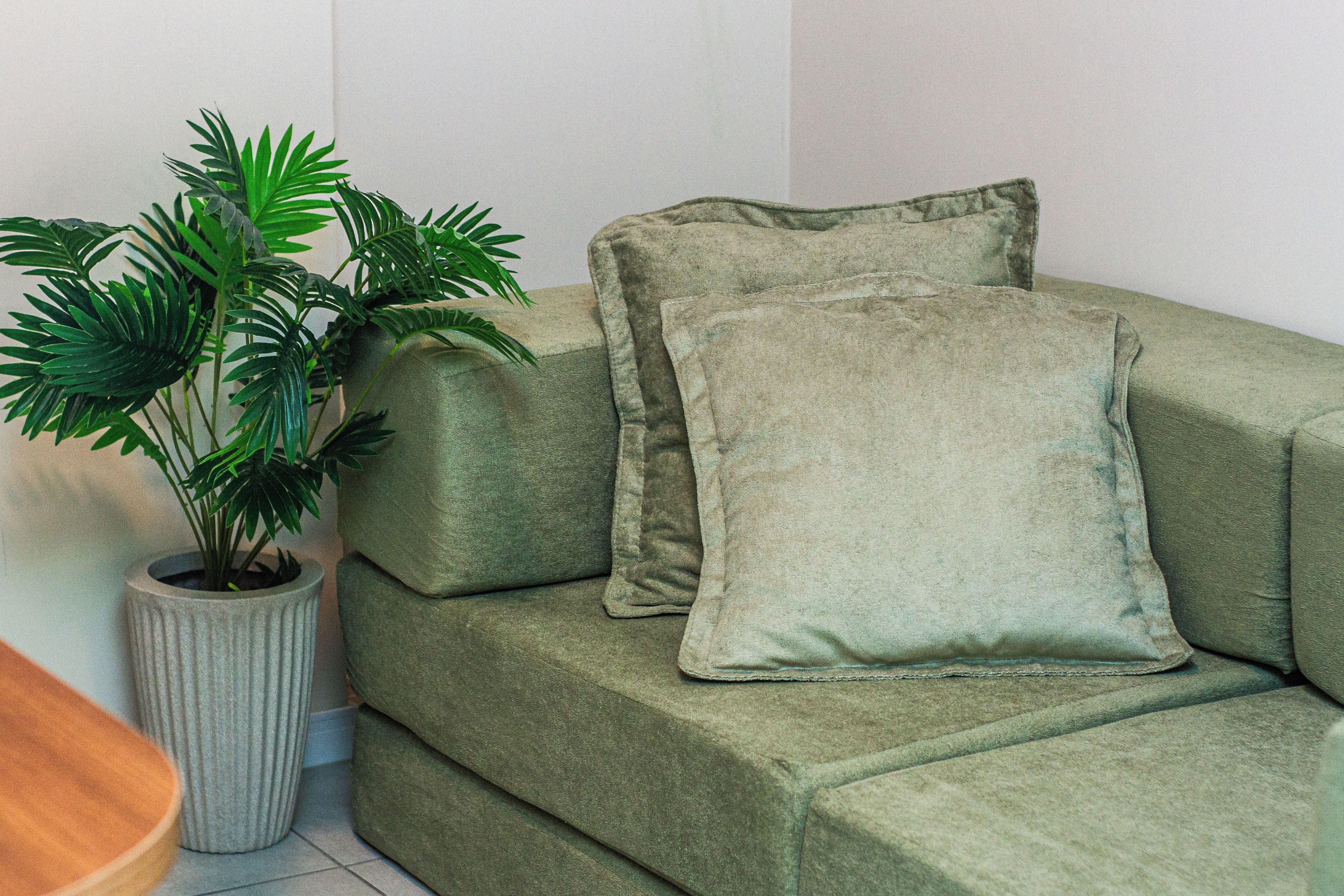 A green sofa with two cushions and a potted plant beside it.