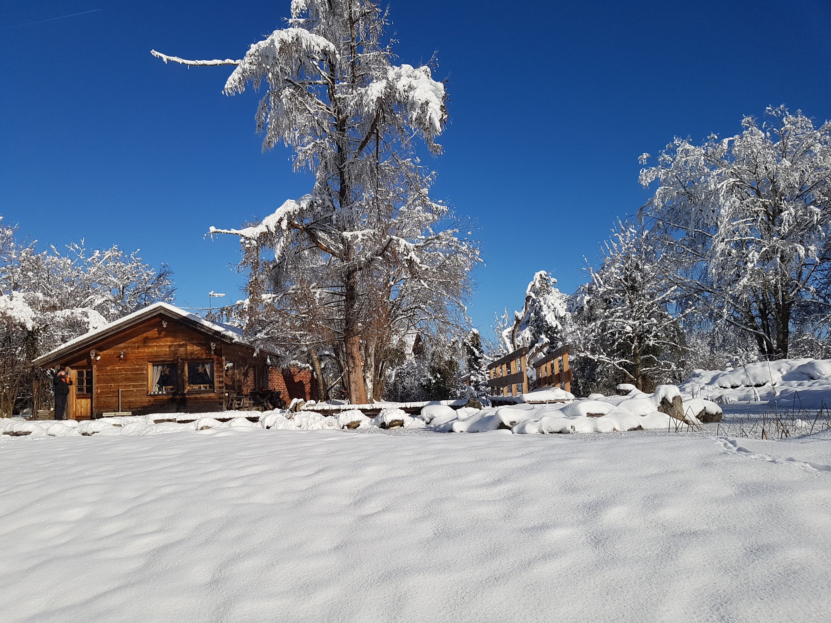 Una cabaña de madera con techo nevado, rodeada de árboles cargados de nieve y un cielo azul despejado.