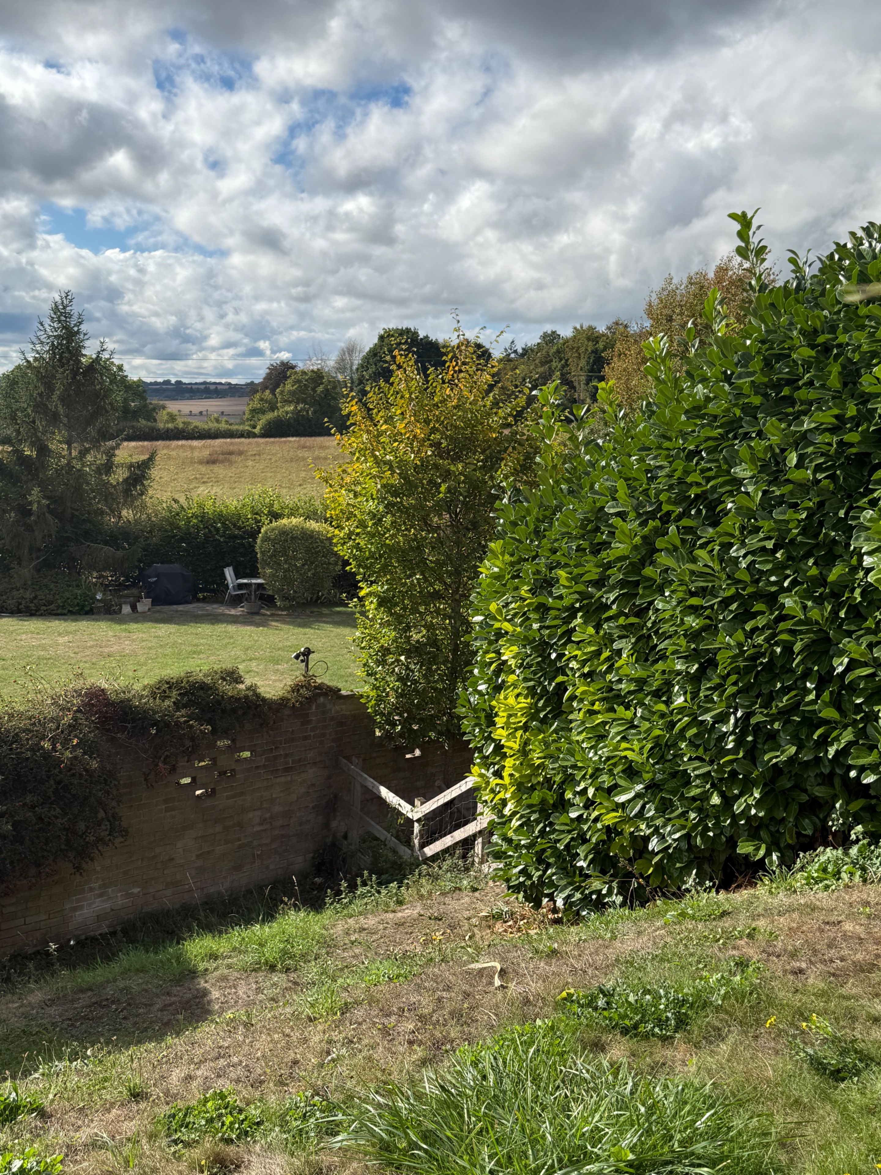 A rural landscape with a brick wall, a wooden fence, and a grassy field.